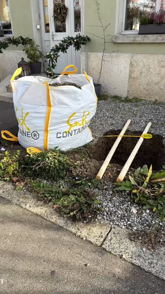 We’re diggin’ holes…guess what comes next!? 🌳🌳🌳 So thrilled to be starting our 5th planting season! #meinbaumdeinbaum #stadtbäume #baselstadt